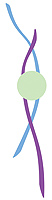 logo Prof. Trubel